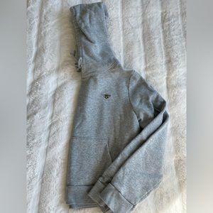 Aritzia Cropped Hoodie